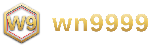 wn9999 logo